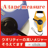 ���W���[